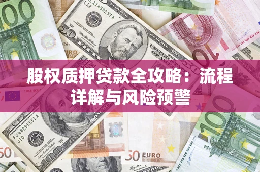 济南股权质押贷款全攻略：流程详解与风险预警
