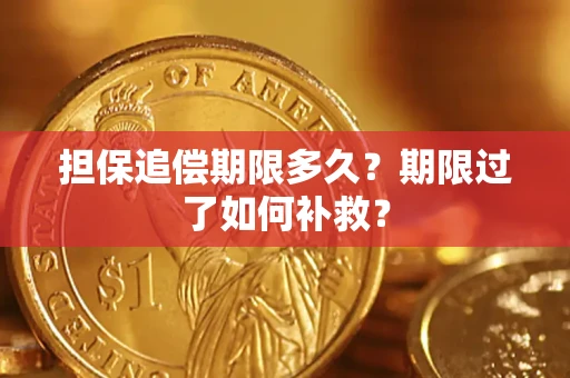 济南担保追偿期限多久？期限过了如何补救？