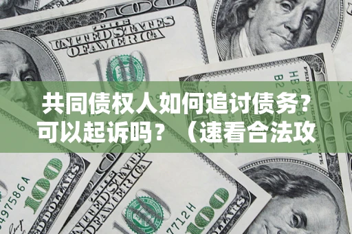 济南共同债权人如何追讨债务？可以起诉吗？（速看合法攻略）