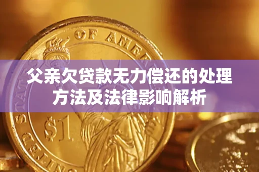 济南父亲欠贷款无力偿还的处理方法及法律影响解析